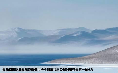 我是自由职业我想办理信用卡不知道可以办理吗在有我有一台6万