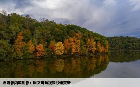 自媒体内容创作：图文与短视频联动策略