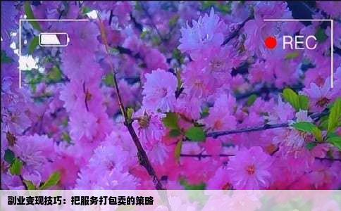 副业变现技巧：把服务打包卖的策略