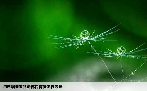 自由职业者到退休能有多少养老金