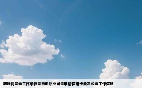 您好我是无工作单位是自由职业可是申请信用卡要怎么填工作信息