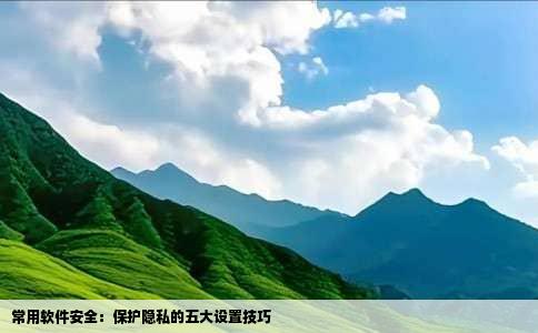 常用软件安全：保护隐私的五大设置技巧