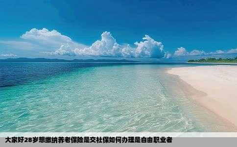 大家好28岁想缴纳养老保险是交社保如何办理是自由职业者