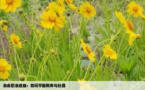 自由职业收益：如何平衡税务与社保