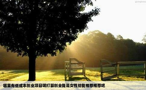 哪里有低成本创业项目呢打算创业我是女性给我推荐推荐吧