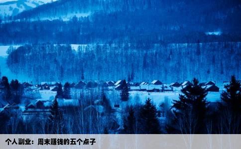 个人副业：周末赚钱的五个点子