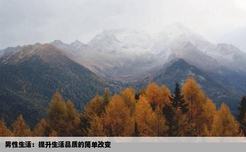 男性生活：提升生活品质的简单改变