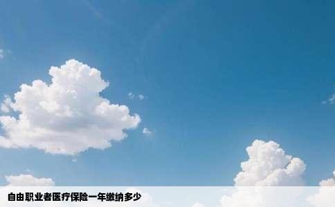 自由职业者医疗保险一年缴纳多少