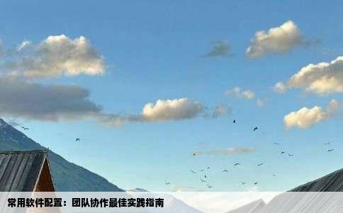 常用软件配置：团队协作最佳实践指南