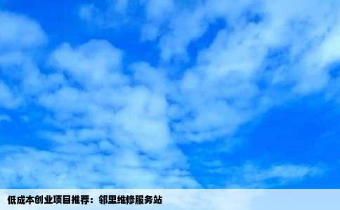 低成本创业项目推荐：邻里维修服务站