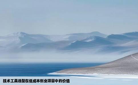 技术工具选型在低成本创业项目中的价值