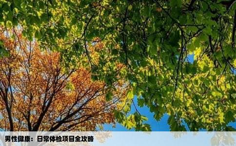 男性健康：日常体检项目全攻略