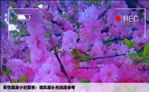 男性健身计划营养：增肌期补剂选择参考