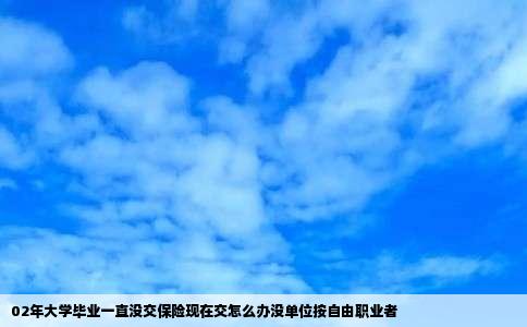 02年大学毕业一直没交保险现在交怎么办没单位按自由职业者