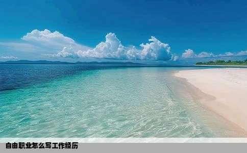 自由职业怎么写工作经历