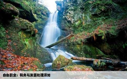 自由职业：税务与发票处理须知