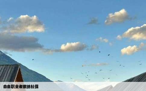 自由职业者缴纳社保
