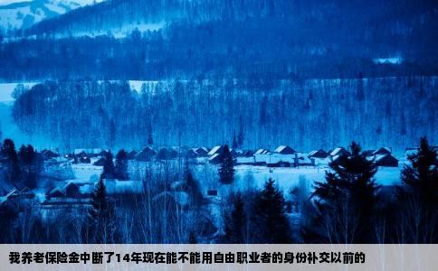 我养老保险金中断了14年现在能不能用自由职业者的身份补交以前的