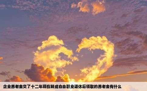 企业养老金交了十二年现在转成自由职业退休后领取的养老金有什么