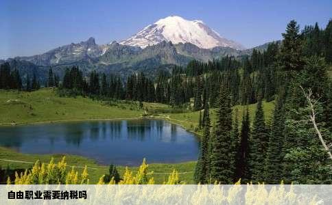 自由职业需要纳税吗