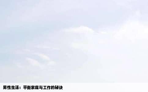 男性生活：平衡家庭与工作的秘诀