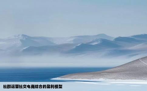 社群运营社交电商结合的盈利模型