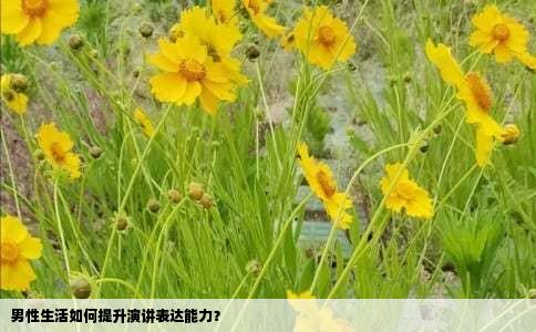 男性生活如何提升演讲表达能力？