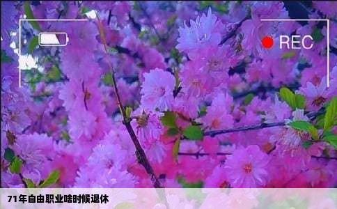 71年自由职业啥时候退休