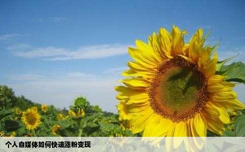 个人自媒体如何快速涨粉变现