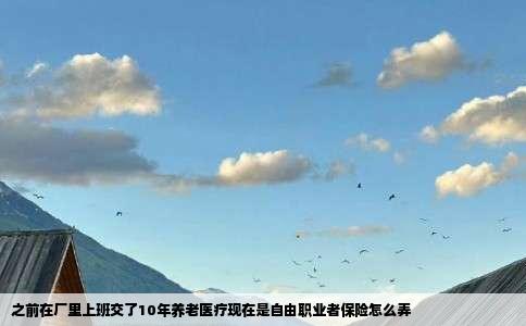 之前在厂里上班交了10年养老医疗现在是自由职业者保险怎么弄