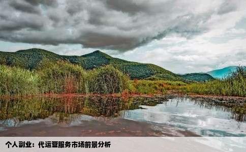 个人副业：代运营服务市场前景分析