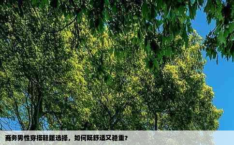 商务男性穿搭鞋履选择，如何既舒适又稳重？