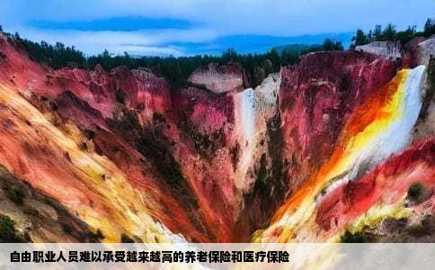 自由职业人员难以承受越来越高的养老保险和医疗保险