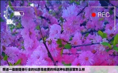 想进一些新媒体行业的社群是收费的吗这种社群运营怎么样