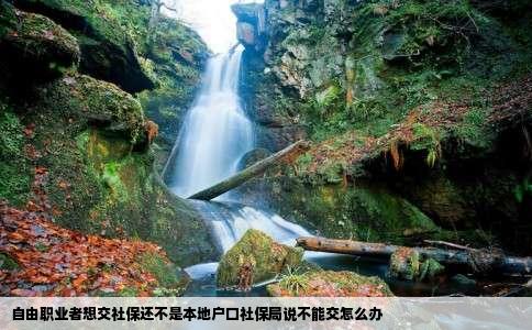 自由职业者想交社保还不是本地户口社保局说不能交怎么办