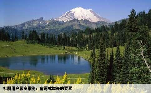 社群用户裂变案例：病毒式增长的要素