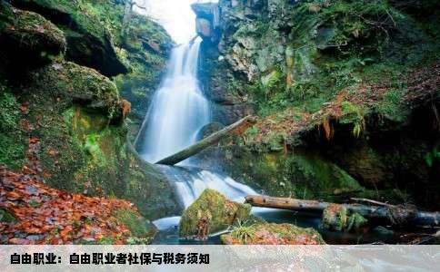 自由职业：自由职业者社保与税务须知