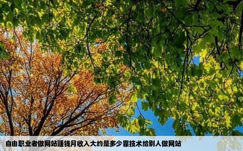 自由职业者做网站赚钱月收入大约是多少靠技术给别人做网站