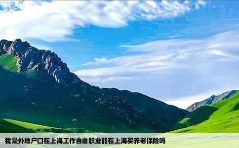 我是外地户口在上海工作自由职业能在上海买养老保险吗