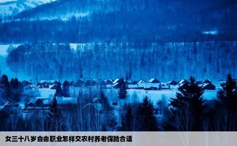 女三十八岁自由职业怎样交农村养老保险合适