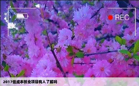2017低成本创业项目有人了解吗