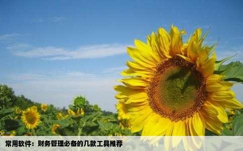 常用软件：财务管理必备的几款工具推荐