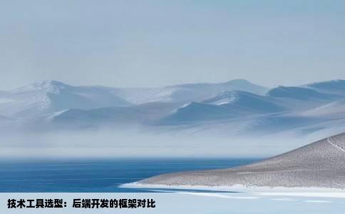 技术工具选型：后端开发的框架对比