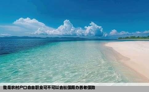 我是农村户口自由职业可不可以去社保局办养老保险