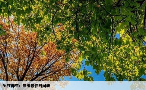 男性养生：晨练最佳时间表