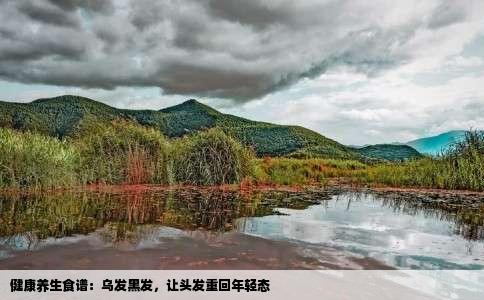 健康养生食谱：乌发黑发，让头发重回年轻态