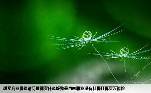 想买商业保险请问推荐买什么好我是自由职业没有社保打算买万能险