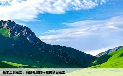 技术工具选型：前端框架如何根据项目选型