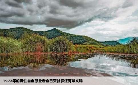 1972年的男性自由职业者自己交社保还有意义吗