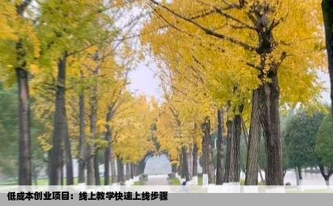 低成本创业项目：线上教学快速上线步骤